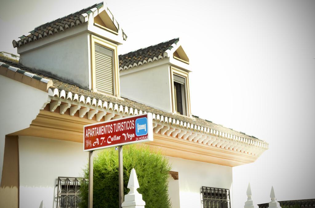 Apartamentos Turisticos Cullar Vega Exterior photo
